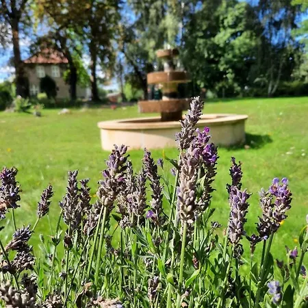 Apartment Kamin-Stuuv - A66609